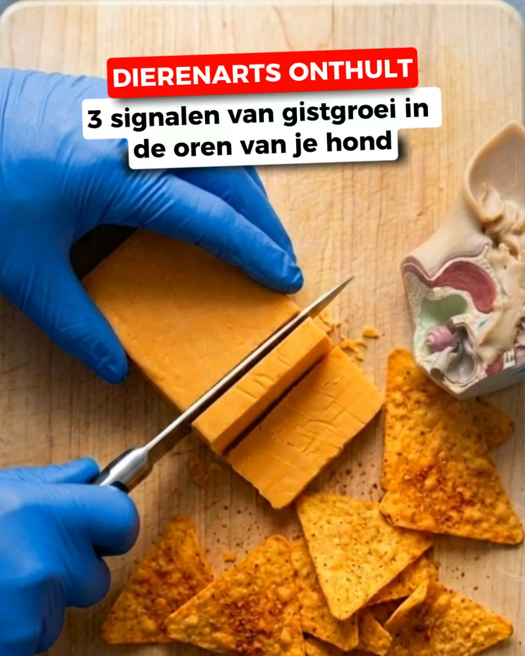 Ruiken zijn poten naar popcorn of kaas?