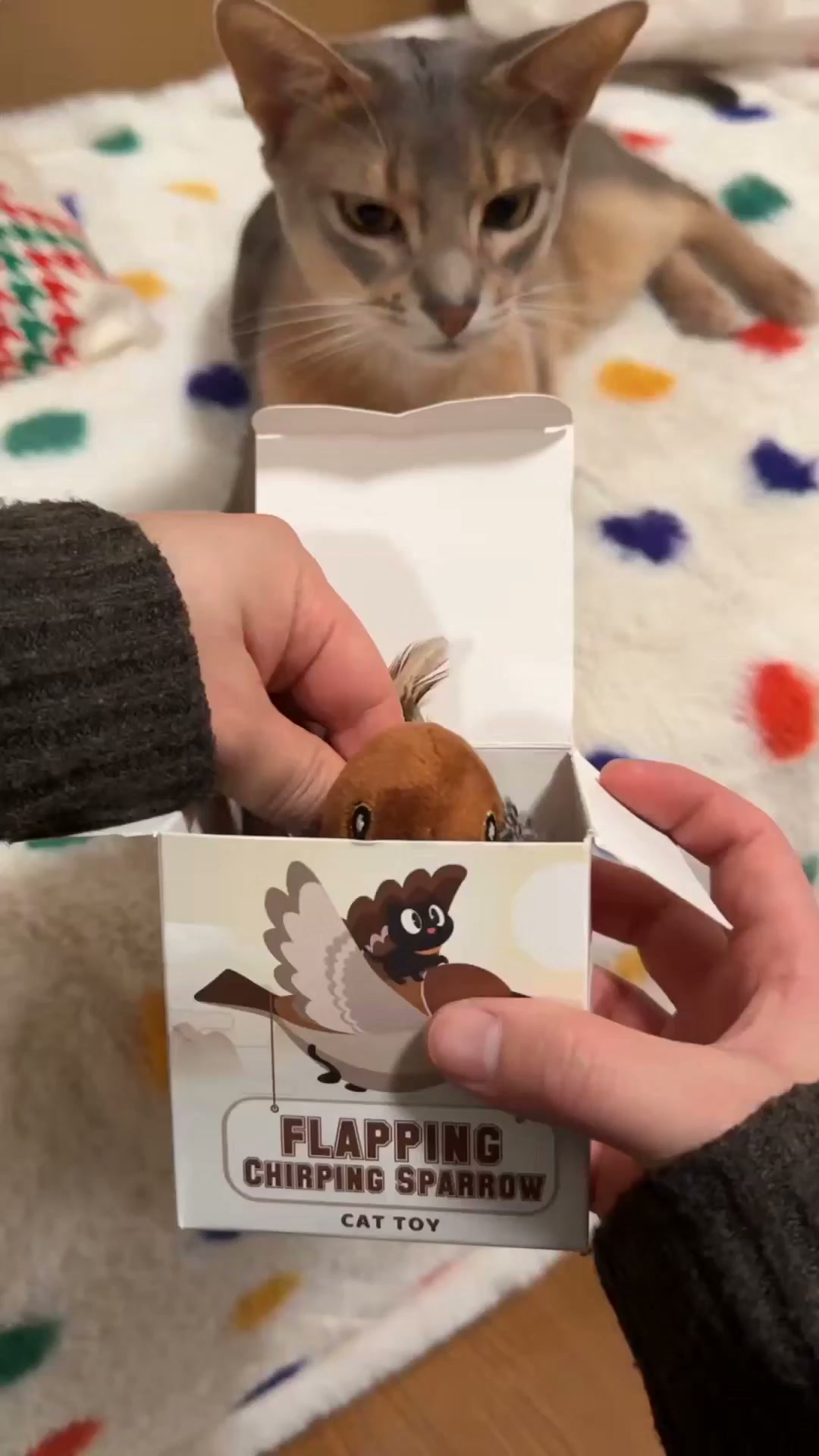 Het speeltje dat het jachtinstinct van je kat wakker maakt!