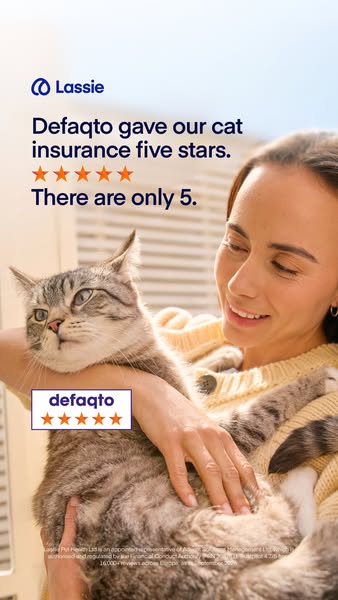 Insure now