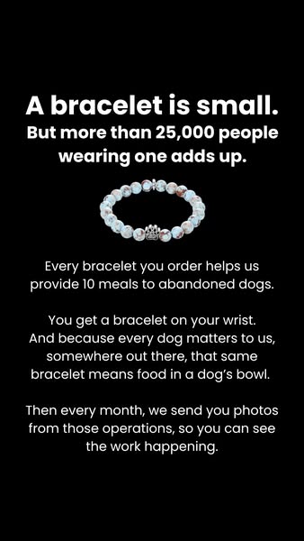 Save The Paws Bracelets