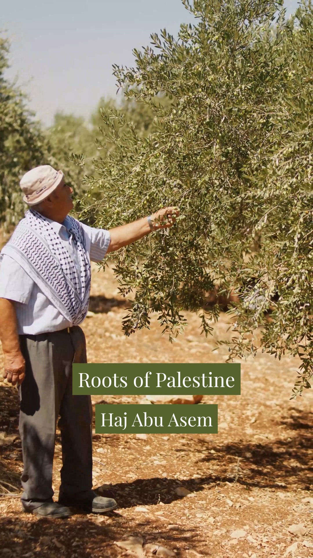Roots of Palestine series - Haj Abu Asem