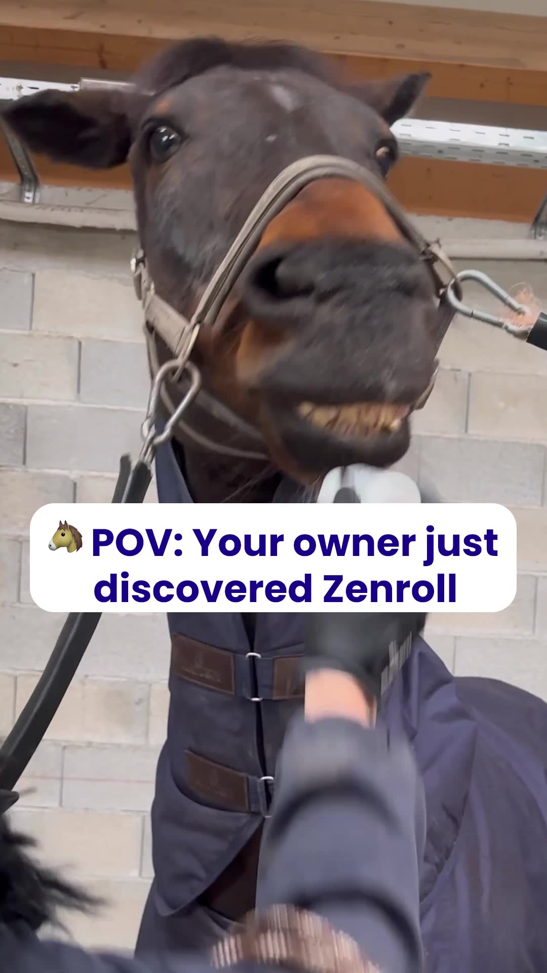 A calmer horse, a better ride