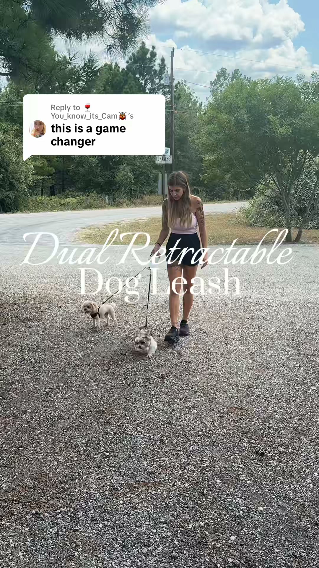 Walk Two Dogs Without Tangled Leashes, Twisted Wrists or Lost Control
