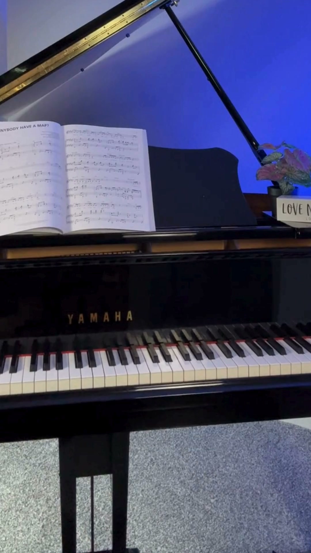 Start Piano By Pictures Today!