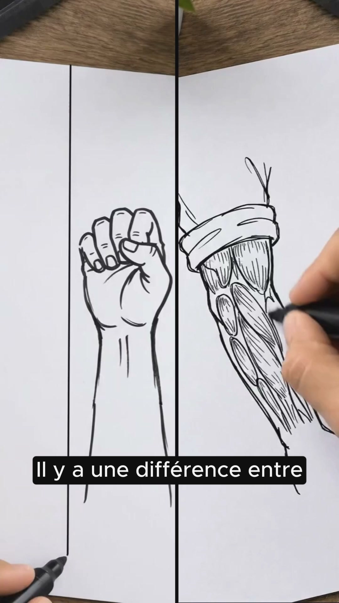 Développe tes avant-bras efficacement