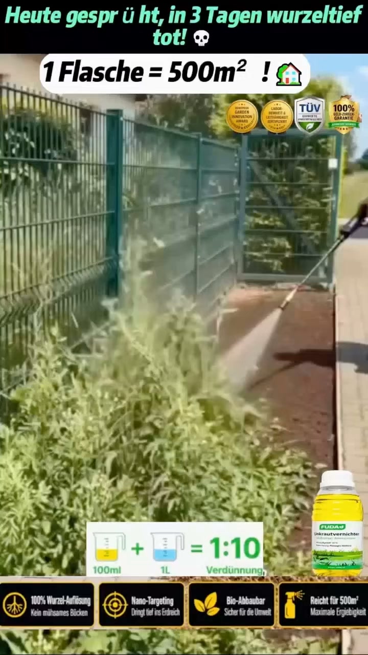 1 kaufen, 1 gratis dazu