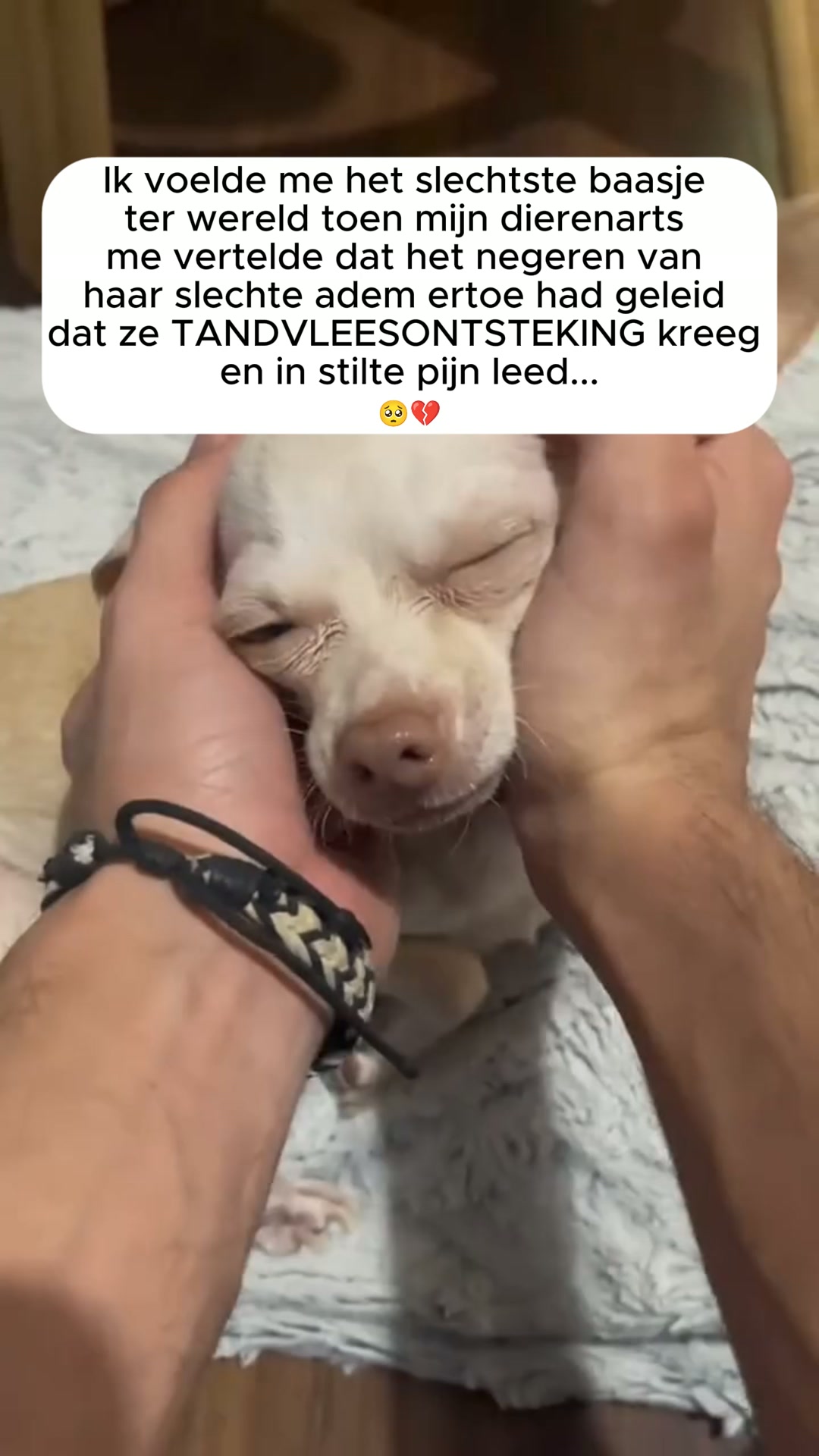 Geen tandenpoetsen. Geen stress. Gewoon gezondere tanden.