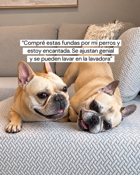 Sofá Siempre Protegido