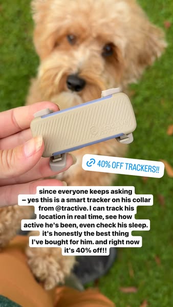 Finally! 40% off Smart Dog Trackers.