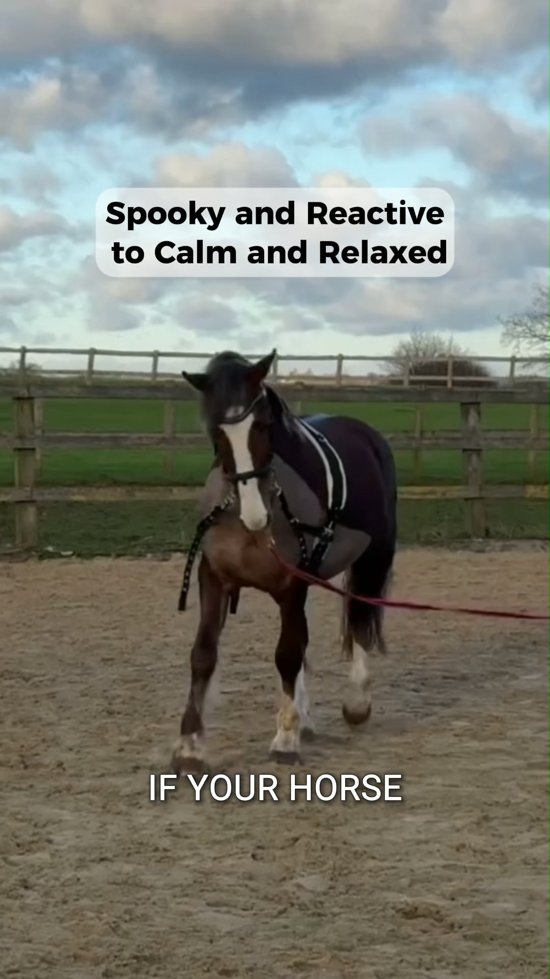 Daily Calm. From £41.99.