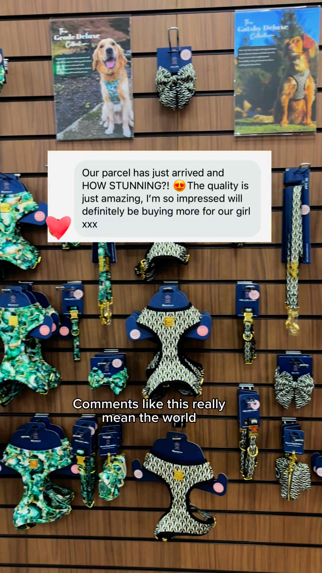 Luxury Dog Accessories at Affordable Prices