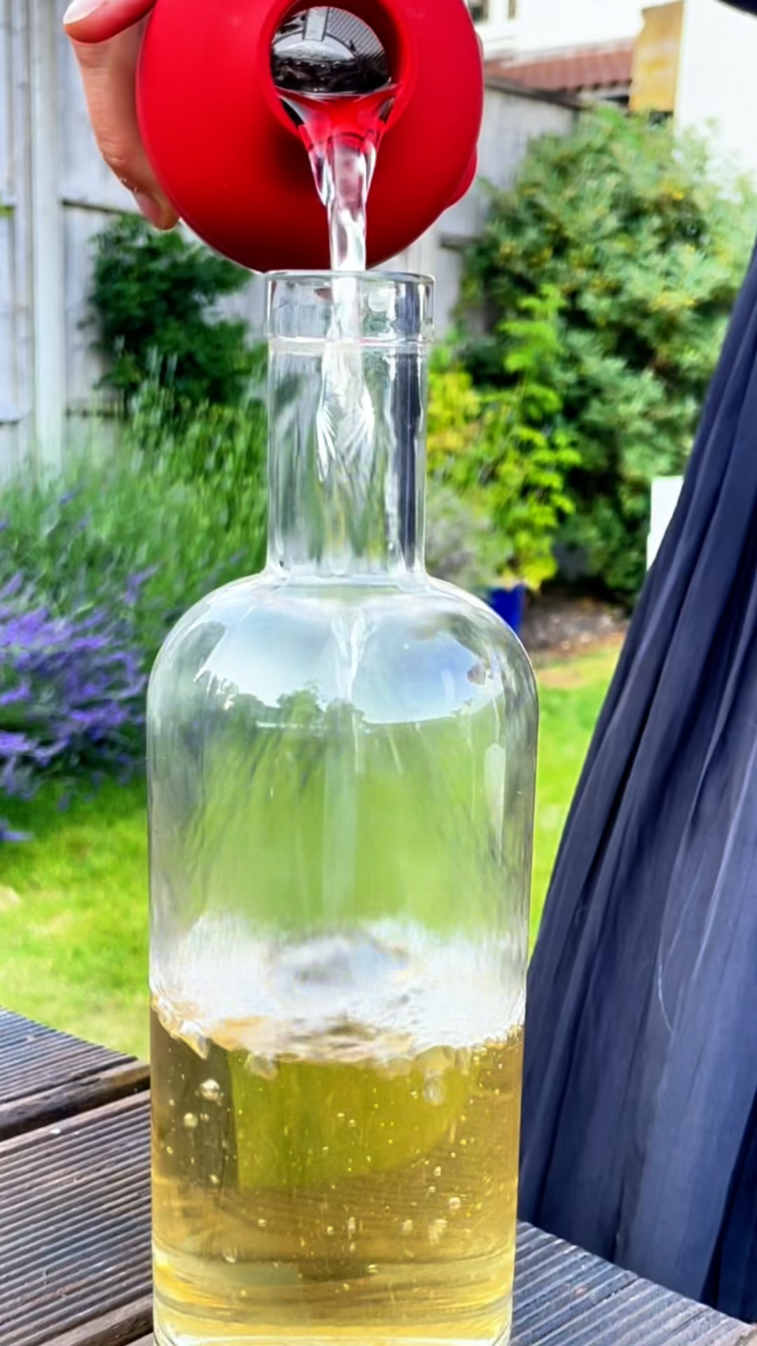 Rare Tea, Cold Brewed