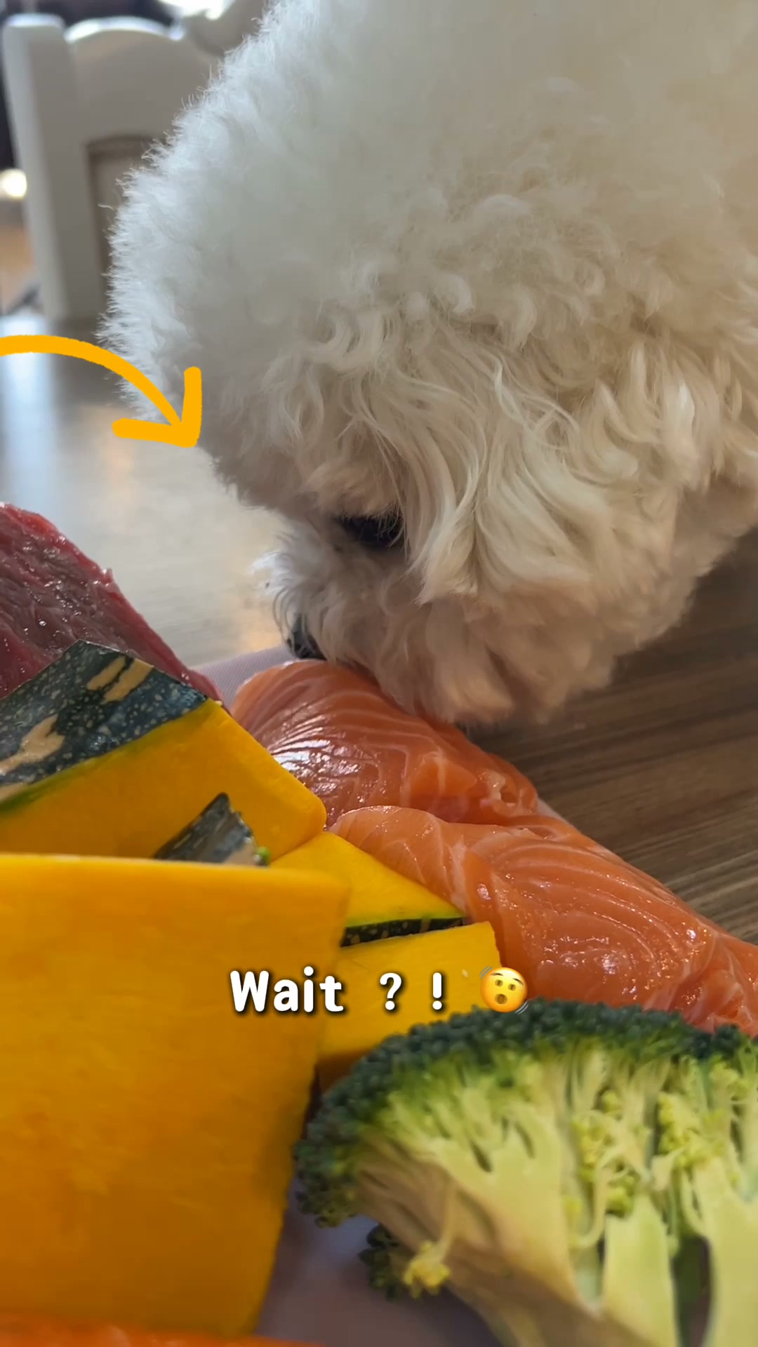A Mealtime Game Changer