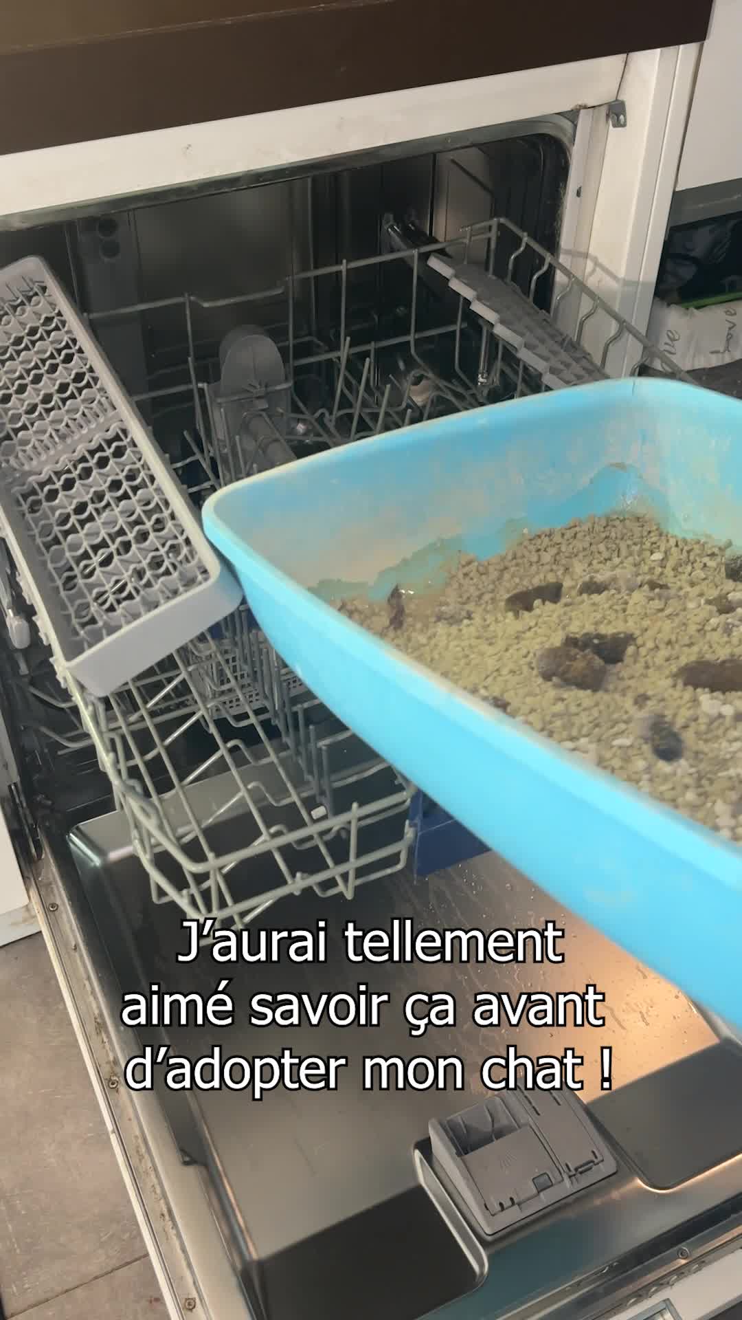 Litière anti-odeur conçue avec des vétérinaires