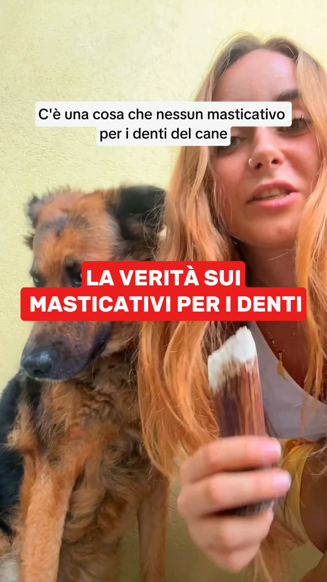 Aiuta il tuo cane oggi