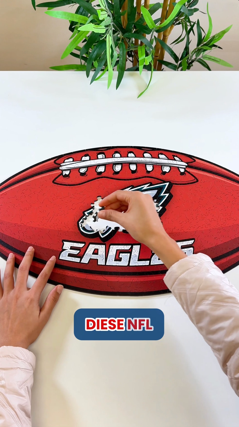 Die Ultimative NFL Challenge
