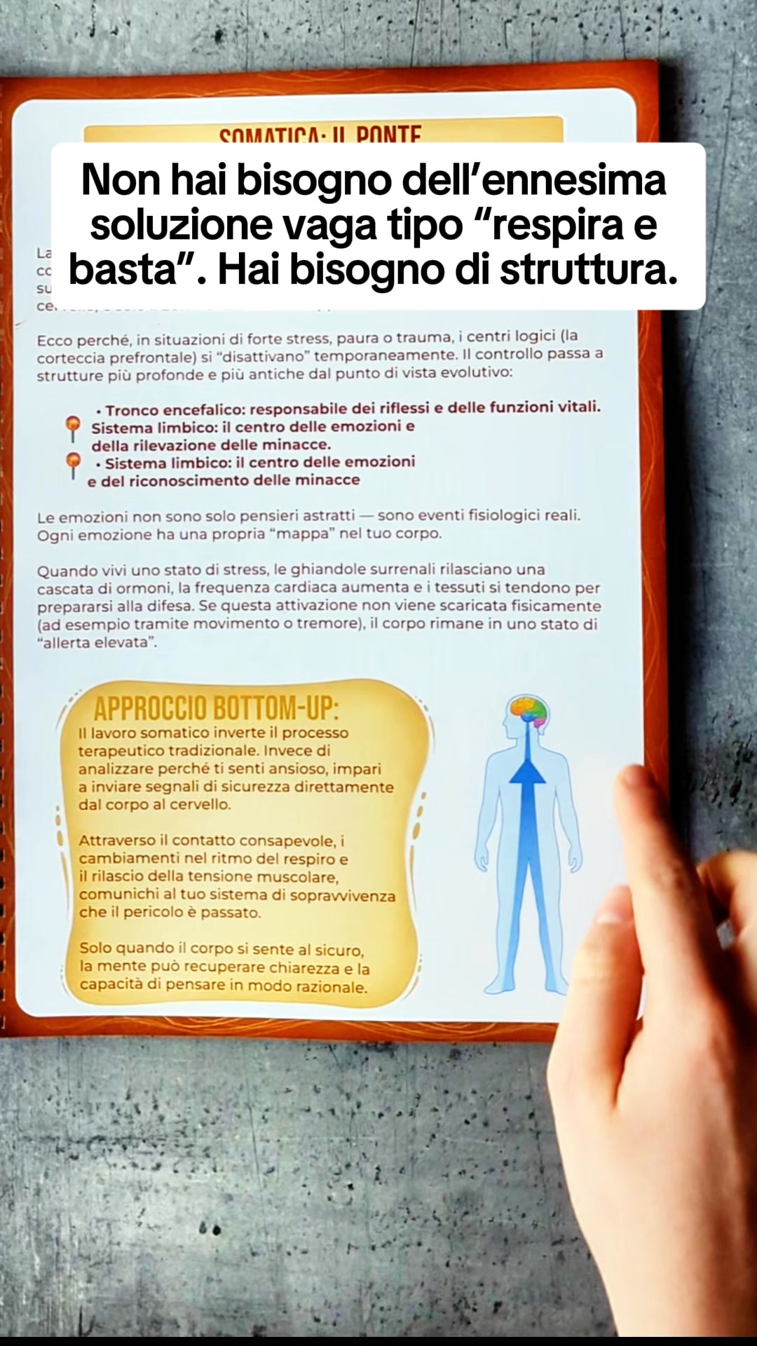 Workbook di Terapia Somatica