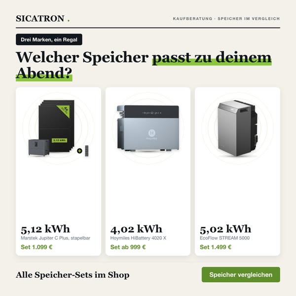Welcher Speicher passt zu dir?