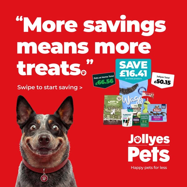 Lower prices on dog essentials.