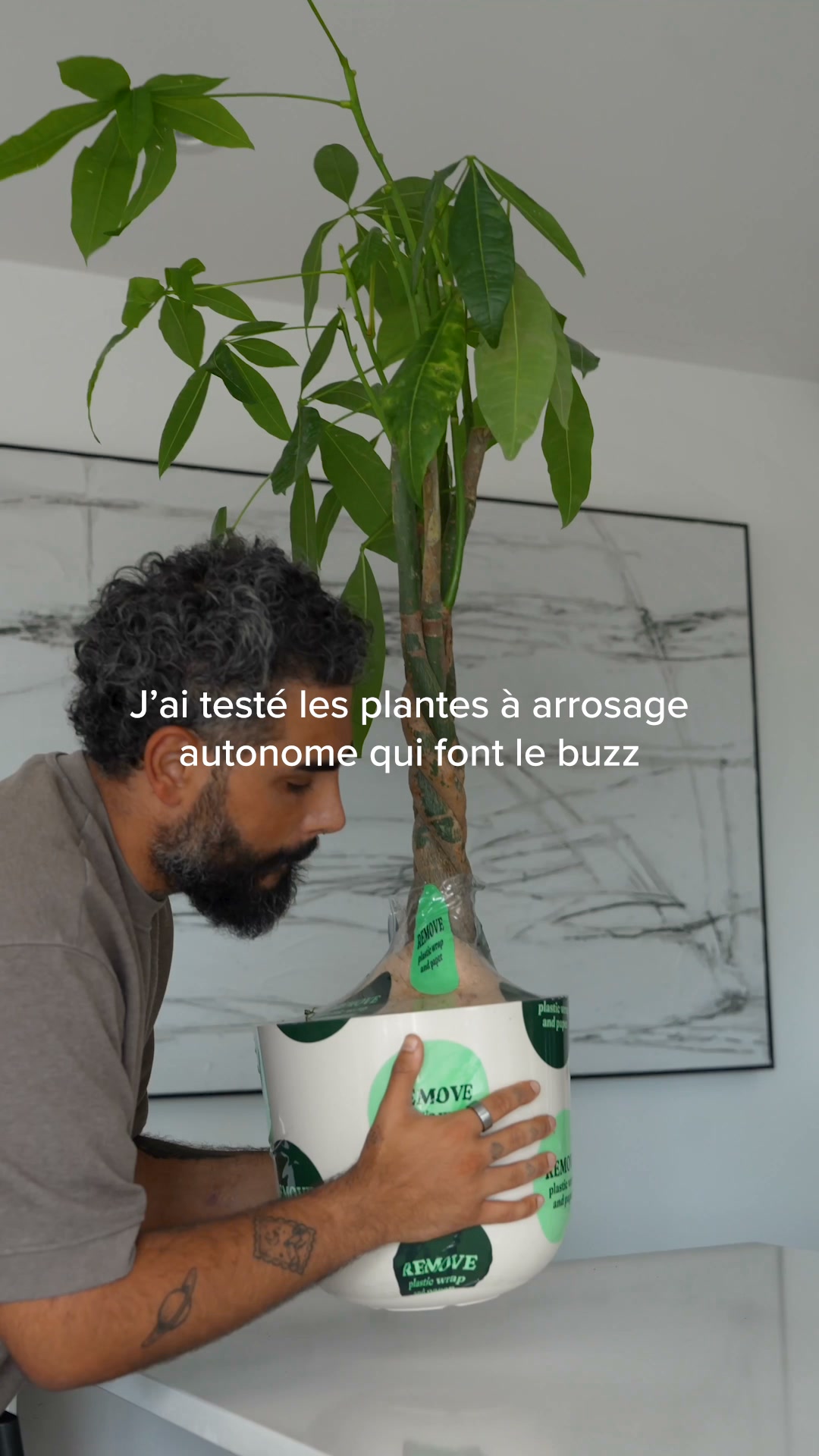 Des plantes qui s'arrosent toutes seules
