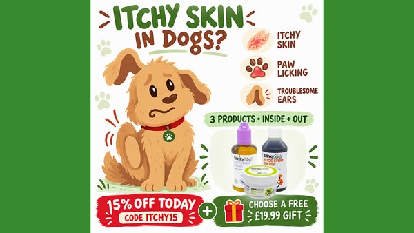 Itchy Dog? Support Them Inside & Out