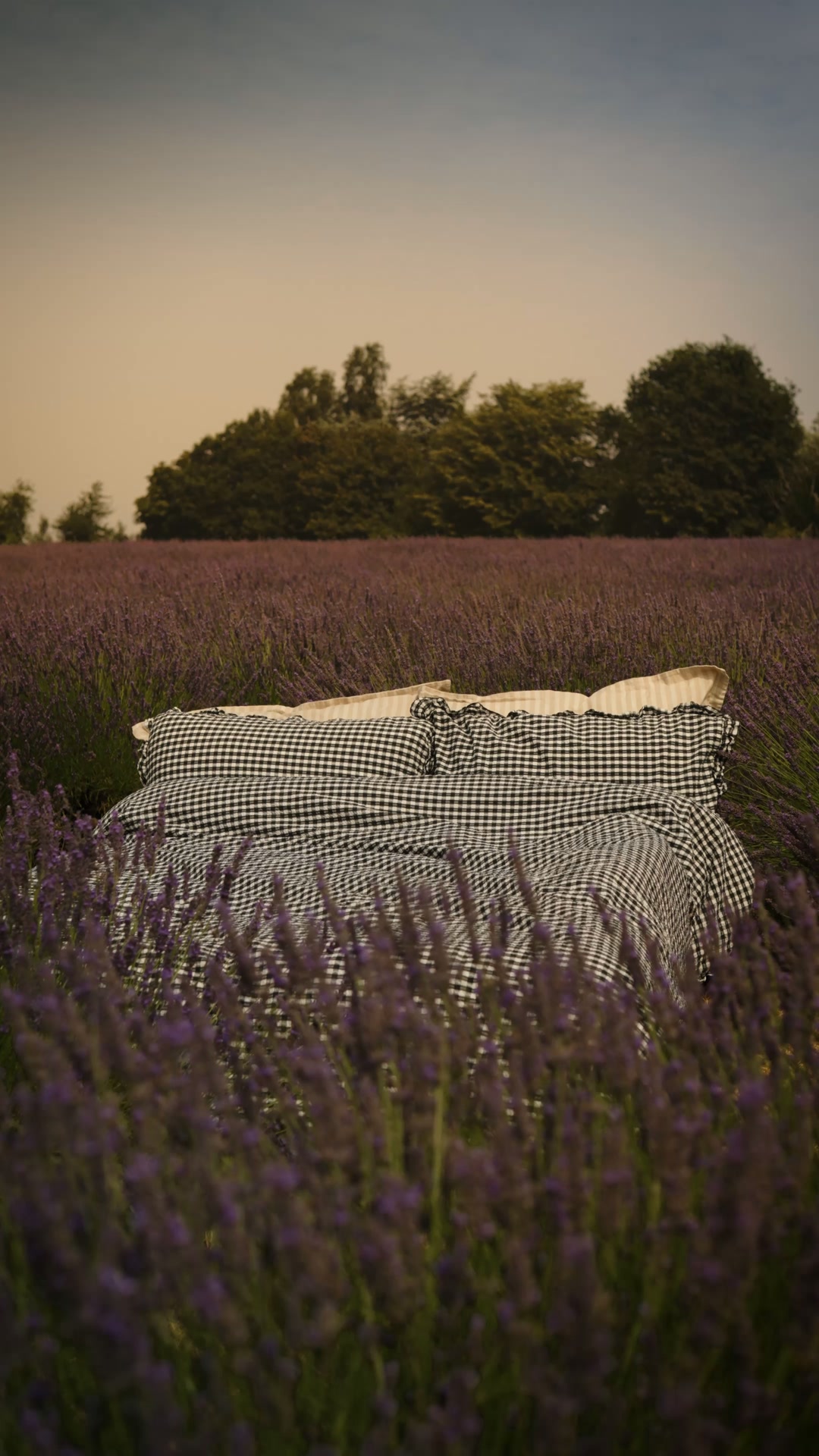 Botanical Laundry: 52% Off First Order