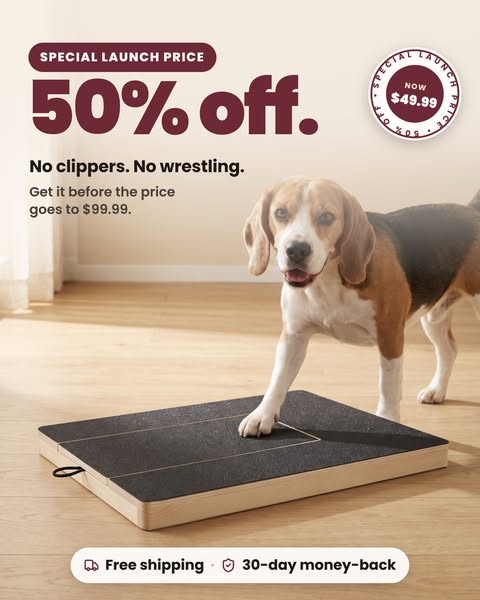Special launch price: 50% off