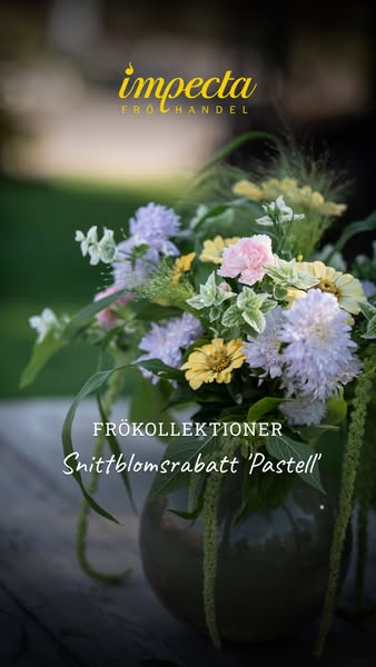 Snittblomsrabatt ‘Pastell’