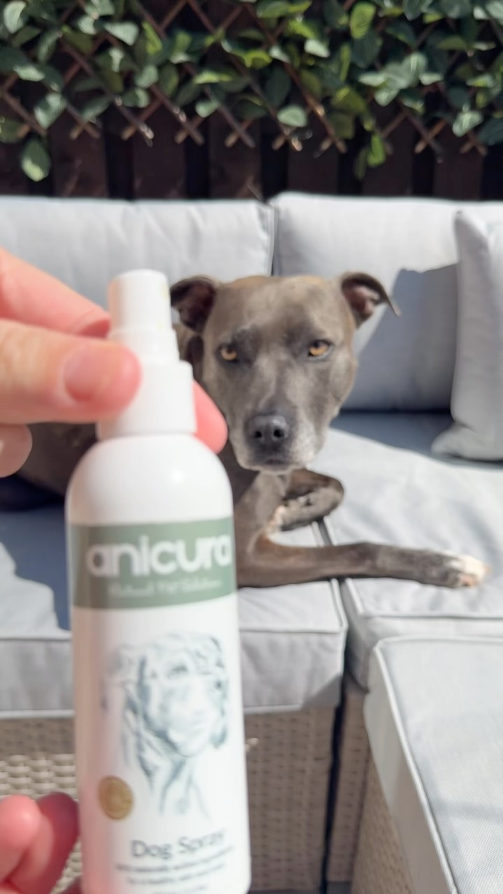 Anúncio de Anicura Natural Pet Solutions