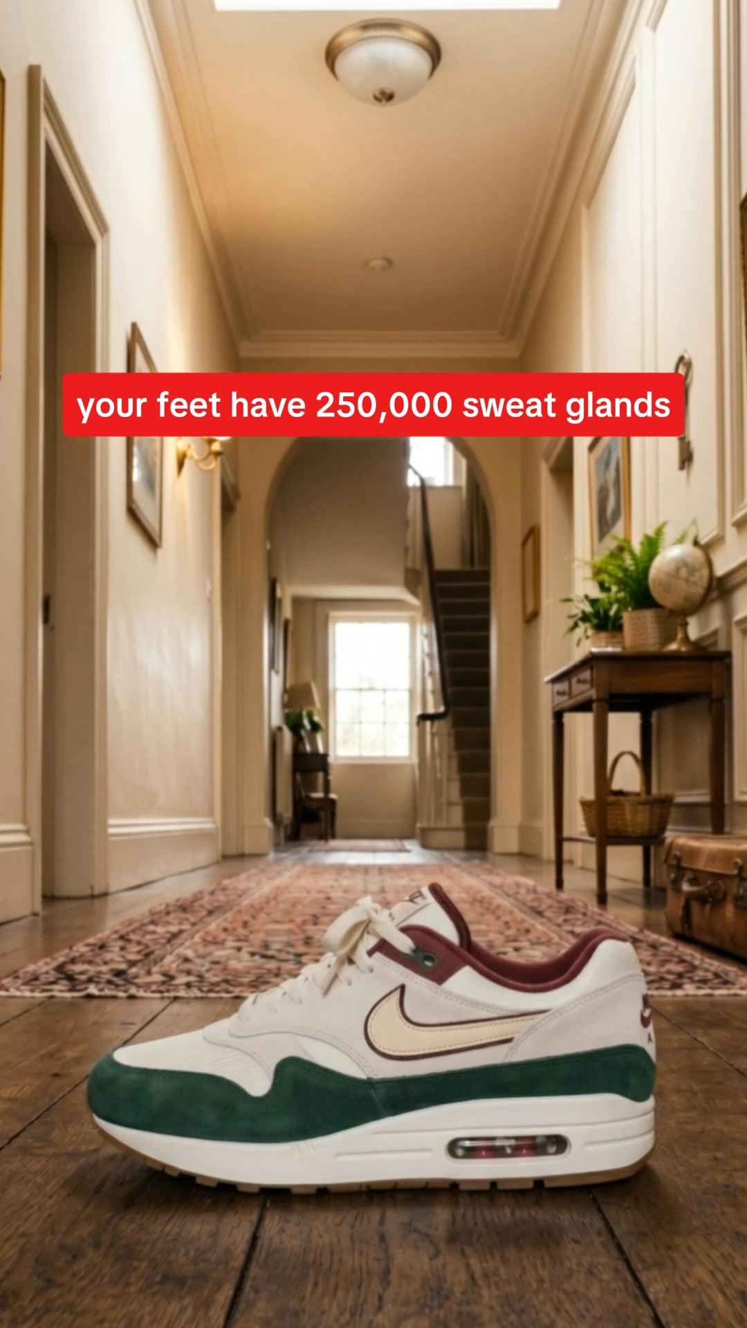 Try Shoefresh for 90 Days