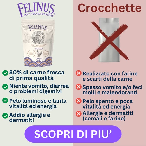 Cosa c'è DAVVERO nelle sue crocchette?