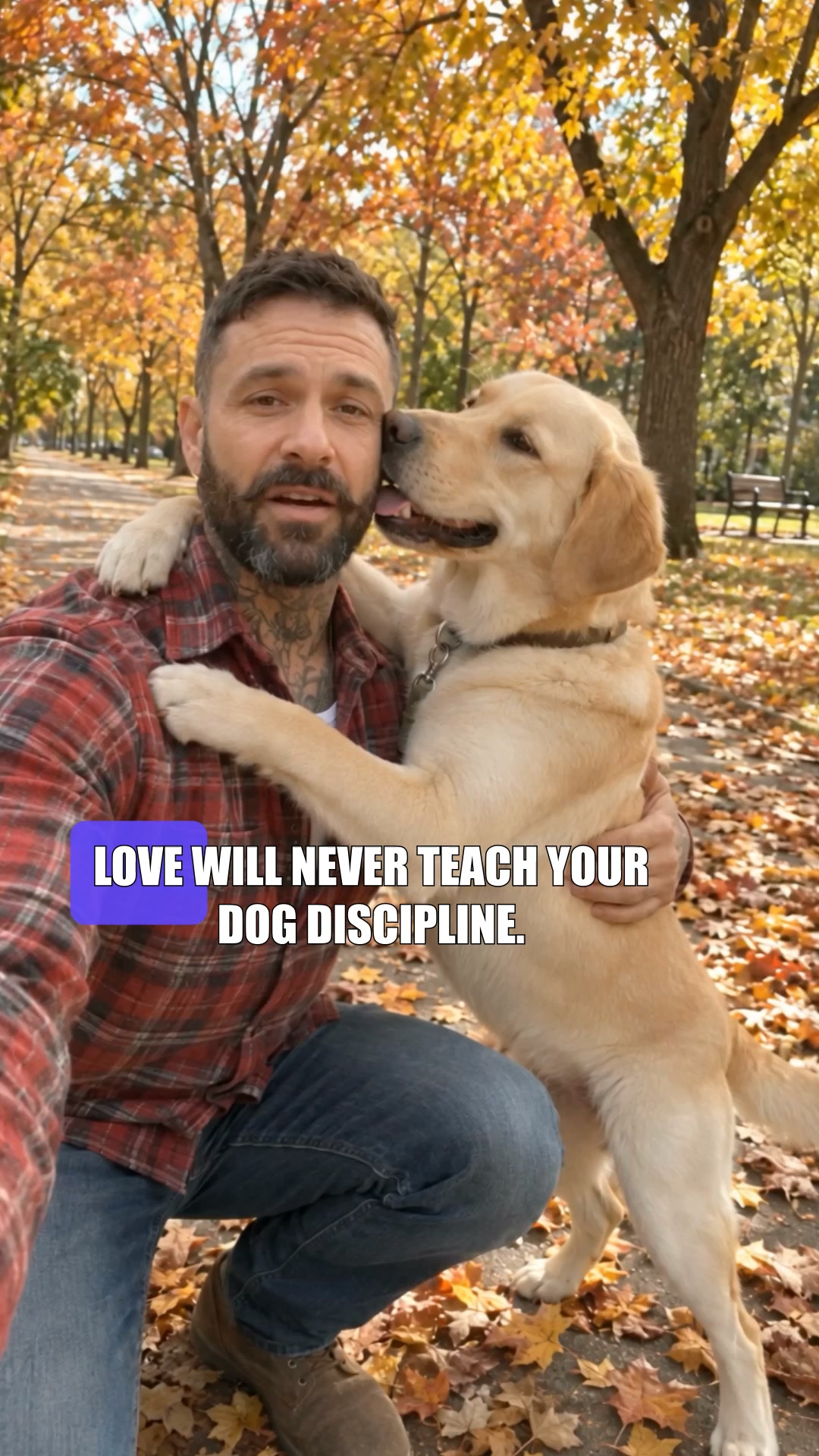 Start Service-Dog-Level Challenge ▶