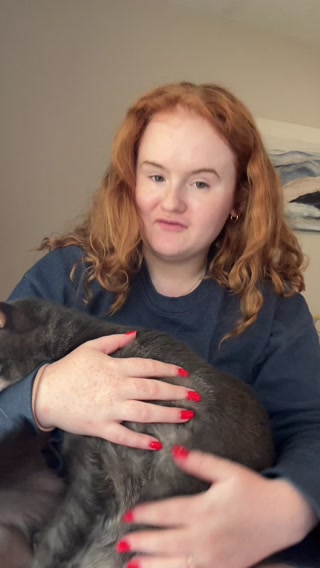 This Is A Must-Have For All Cat Parents!