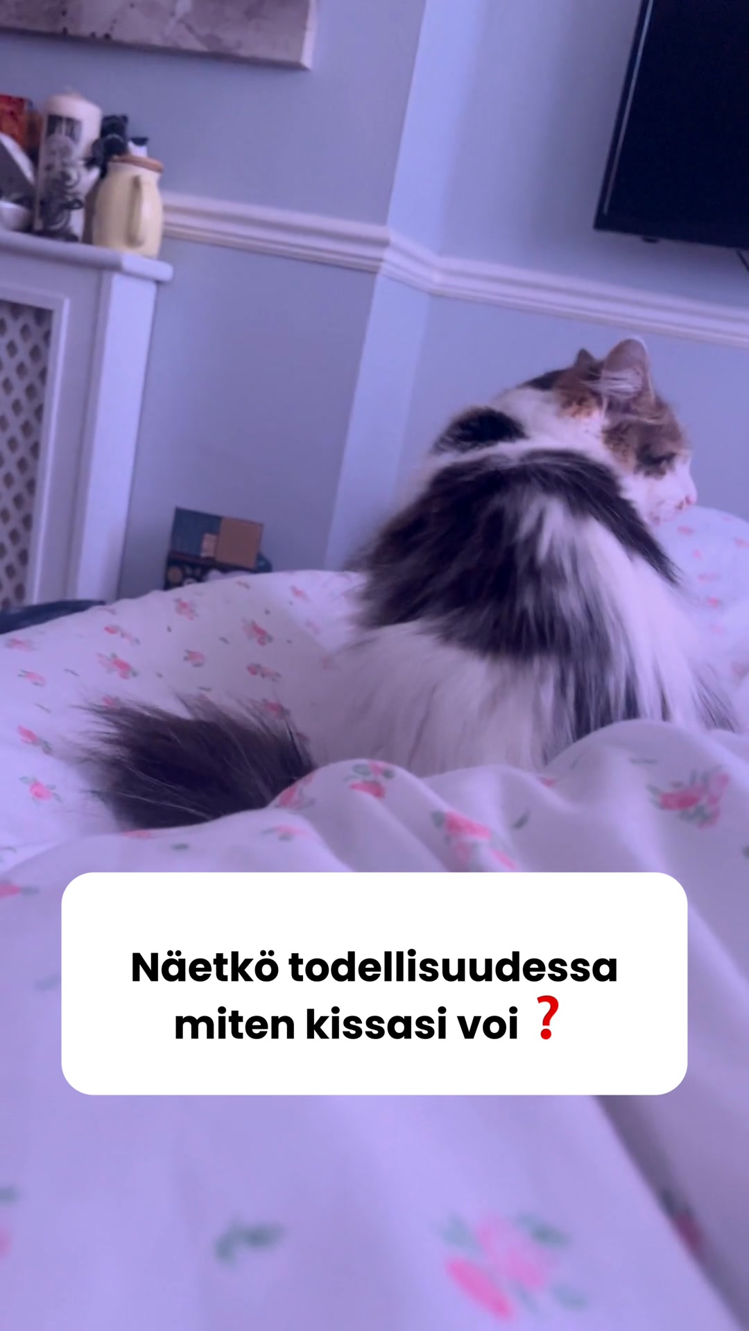 Saat 50% alennuksen + ilmaisen lahjan! Vain rajoitetun ajan!