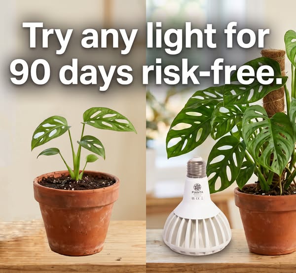 Try Any Light for 90 Days, Risk-Free.