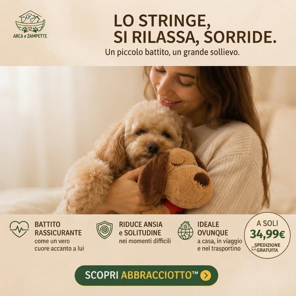Spedizione Gratuita