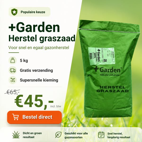 Voor een dichte groene grasmat