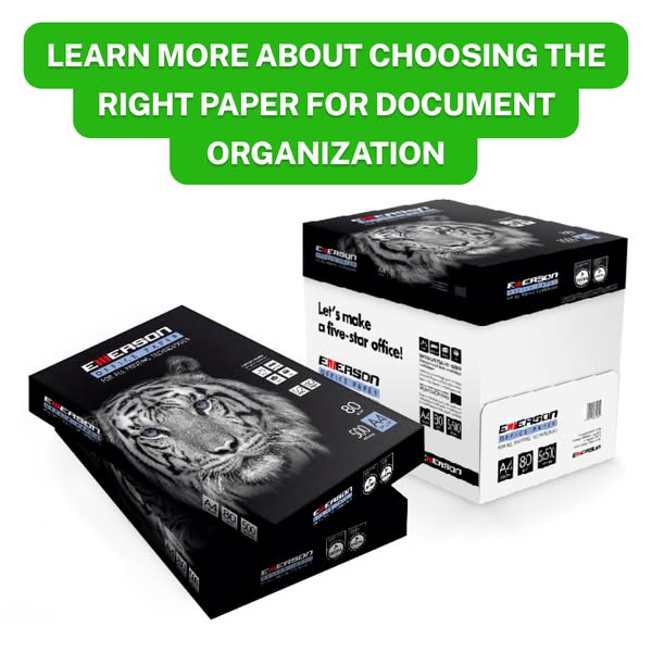 Learn more about choosing the right paper for document organization