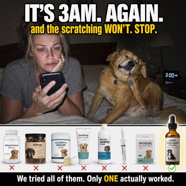 Top Liquid Collagen For Dogs