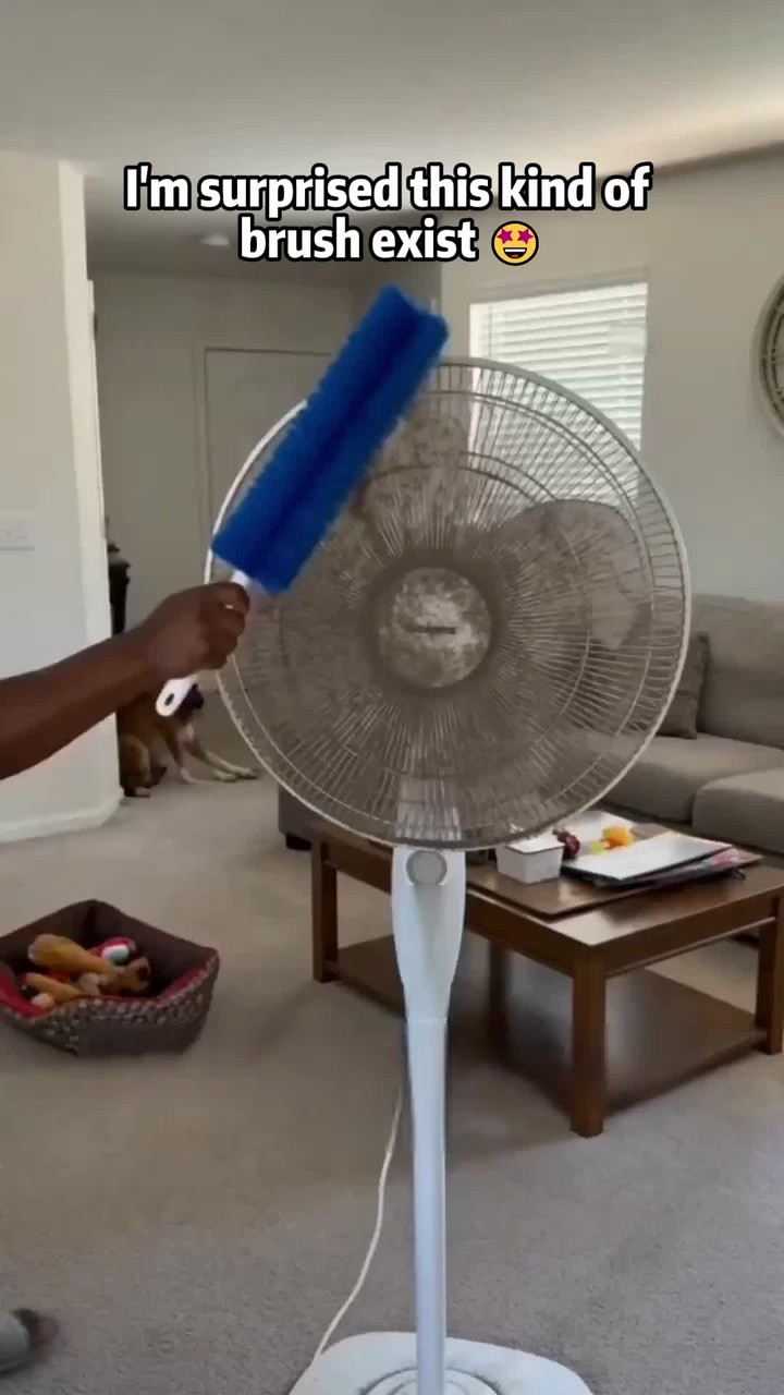 Fan cleaning brush