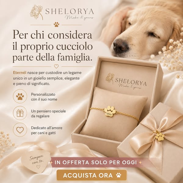 Spedizione Gratuita
