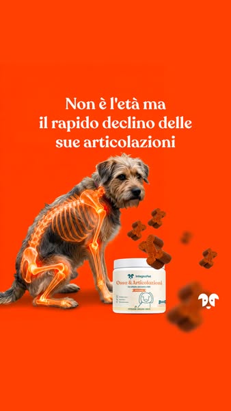 Ossa & Articolazioni
