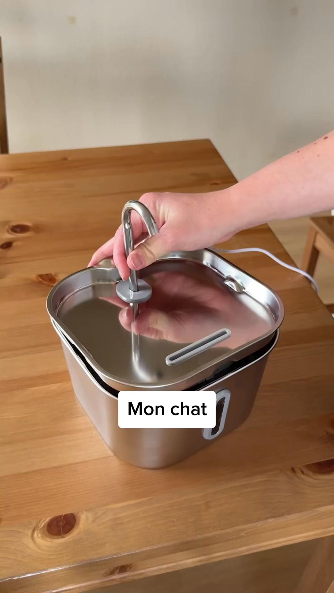 La fontaine en inox que les chats adoptent en 24h
