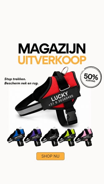 Voor 23:00 besteld, zelfde dag verzonden.