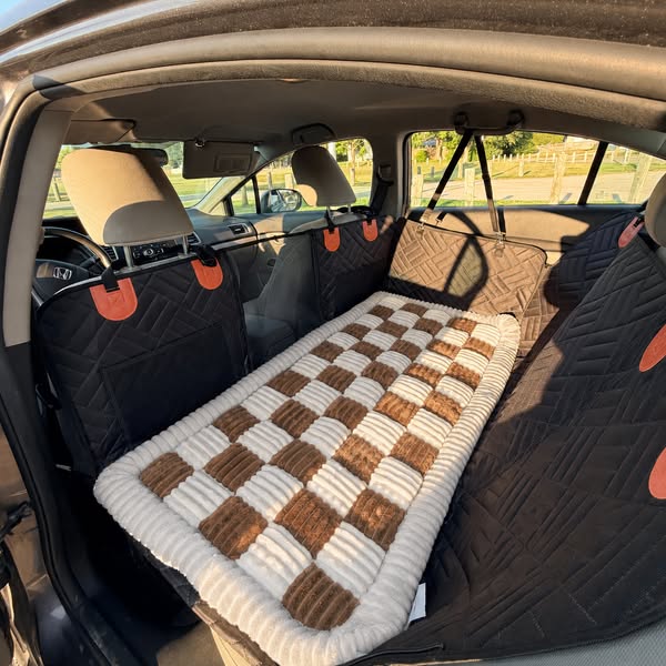 The Clean-Car Upgrade Every Dog Owner Needs