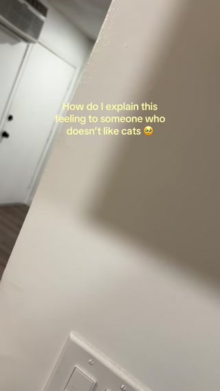 Trusted by Cat Lovers, Loved by Kitties!