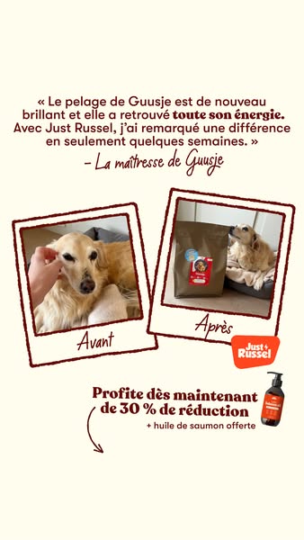 Offrez-lui le meilleur avec 30% de réduction