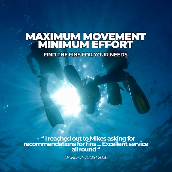 Explore our fins here