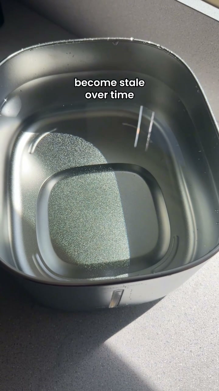 The #1 Vet Recommended Cat Fountain