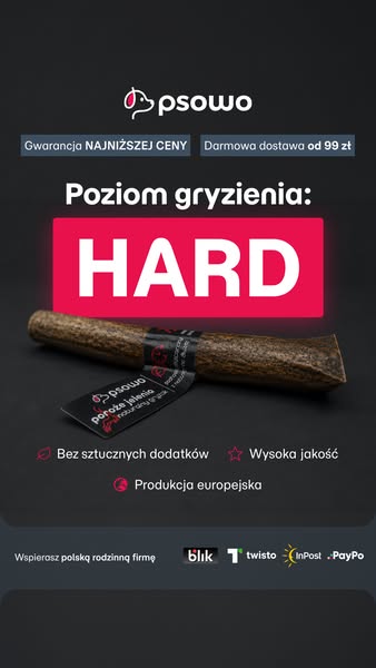 Kup teraz ser himalajski dla psa